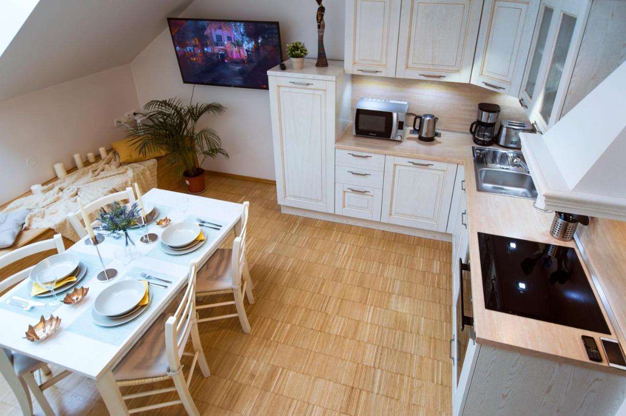 Modern Charvatova Apartament
